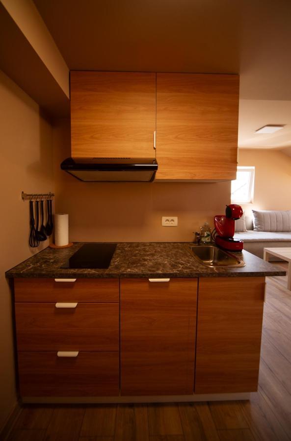 Sport Apartments Radovljica Esterno foto